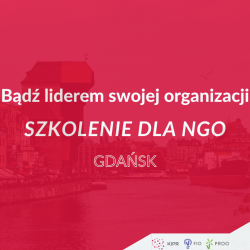 Gdańsk: Bądź liderem swojej organizacji – szkolenie dla NGO
